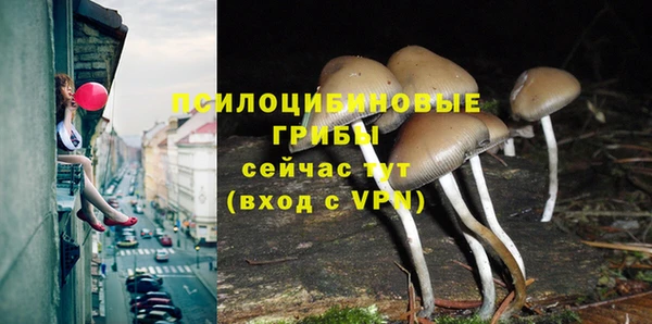 ALPHA PVP Верхний Тагил